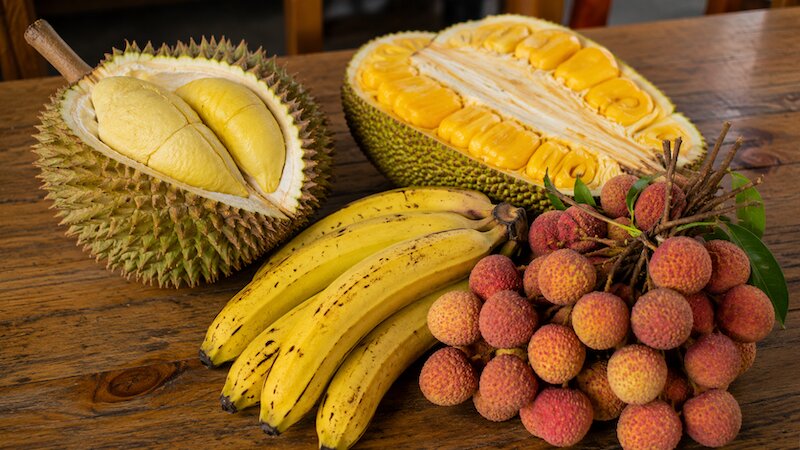 hơi thở có mùi cồn do ăn hoa quả chín nẫu