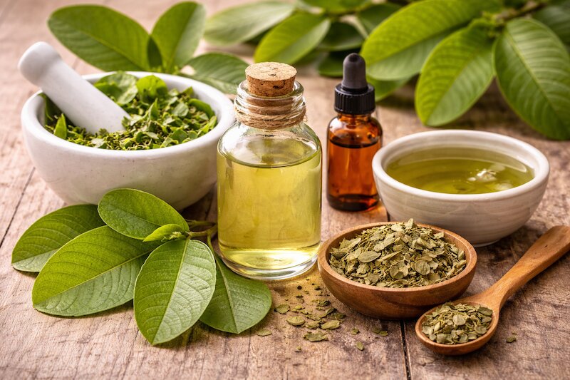 chữa hôi miệng bằng lá ổi